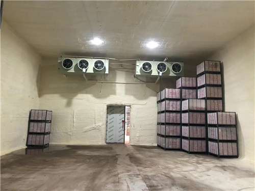 天行（中国）苹果冷库安装案例