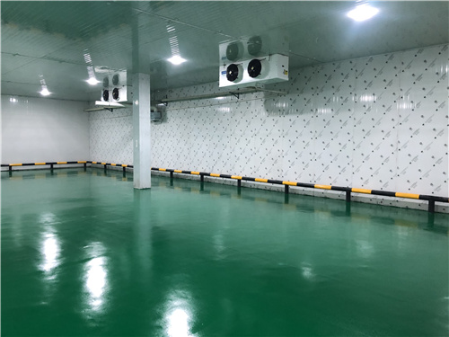 天行(中国)蔬菜保鲜库 天行(中国)蔬菜保鲜库